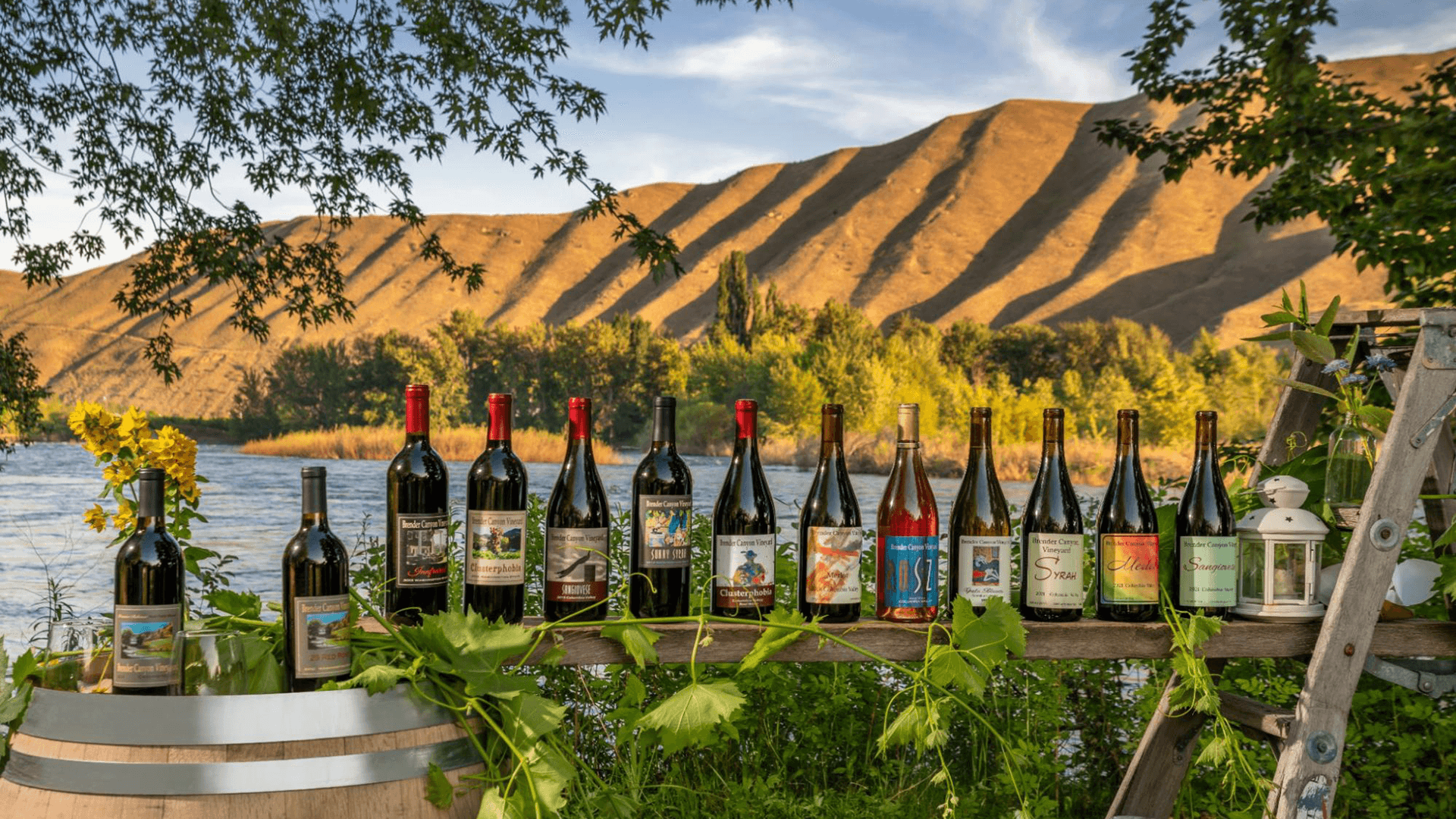 A display of various wine bottles on a wooden table with a scenic backdrop of hills and water.
