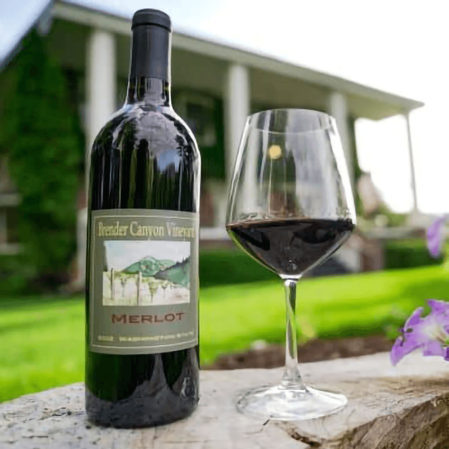 A bottle of Merlot wine sits next to a filled glass against a picturesque background.