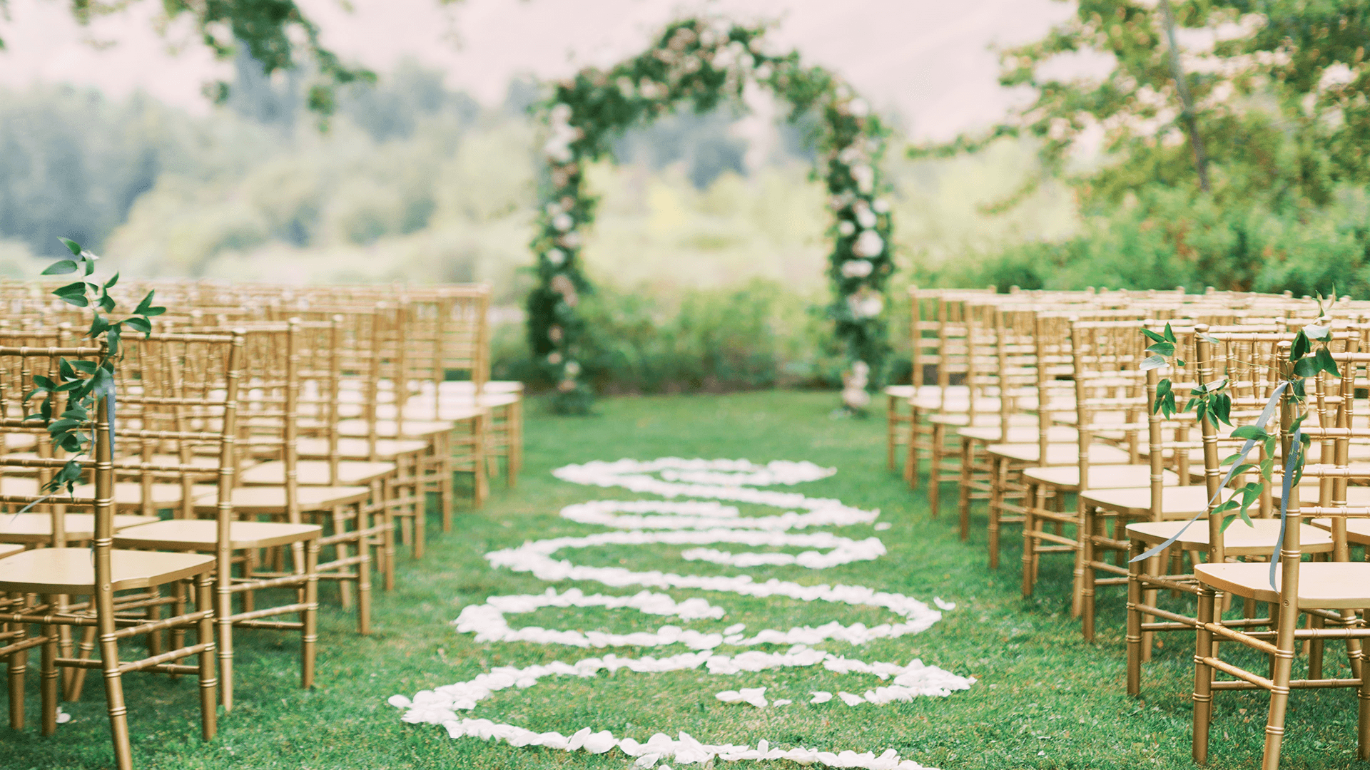 An outdoor wedding setup with gold chairs, a floral arch, and a petal-strewn aisle.
