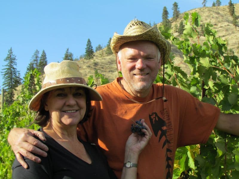 A smiling couple poses together in a vineyard, holding fresh grapes with a scenic hillside in the background.